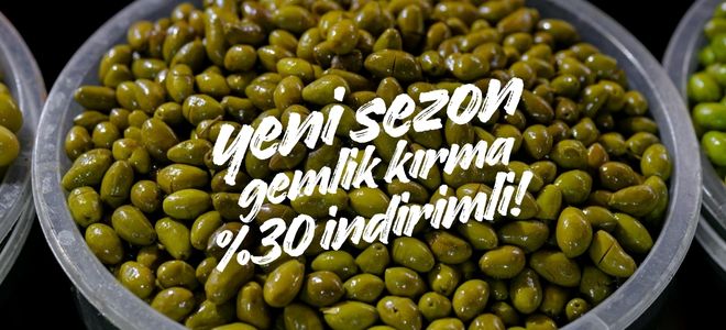 Çizme Kırma Gemlik Yeşil Zeytin Çeşitleri